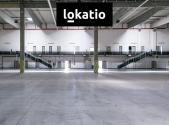 Pronájem komerčního objektu, sklad, 9 786 m²