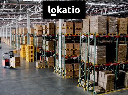Pronájem - komerční objekt, sklad, 6 655 m²