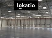 Pronájem komerčního objektu, sklad, 9 217 m²