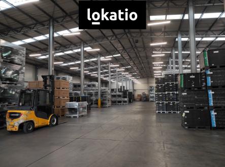 Pronájem komerčního objektu, sklad, 2 613 m²
