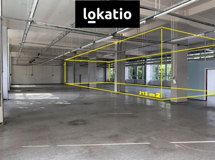 Pronájem - komerční objekt, sklad, 213 m²