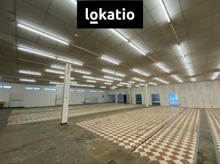 Pronájem komerčního objektu, sklad, 1 100 m²