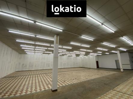 Pronájem komerčního objektu, sklad, 1 100 m²