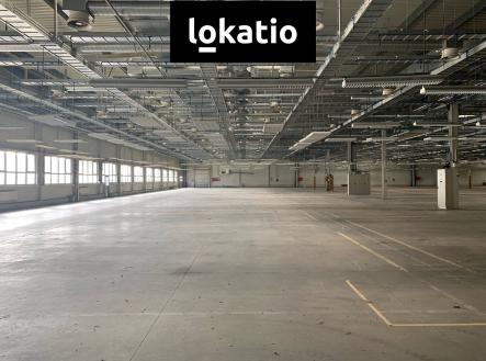 Pronájem komerčního objektu, sklad, 5 000 m²