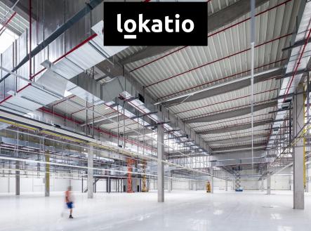 Pronájem komerčního objektu, sklad, 10 500 m²