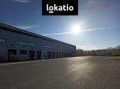 Pronájem komerčního objektu, sklad, 7 771 m²