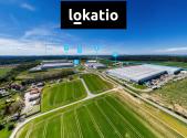 Pronájem komerčního objektu, sklad, 11 700 m²