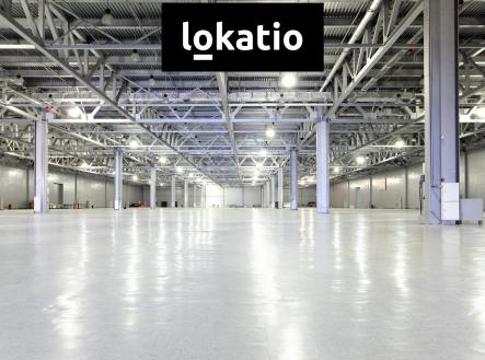 Pronájem komerčního objektu, sklad, 6 183 m²