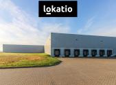 Pronájem komerčního objektu, sklad, 11 880 m²