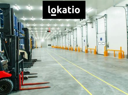 Pronájem komerčního objektu, sklad, 3 355 m²