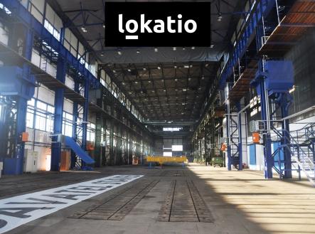 Pronájem komerčního objektu, sklad, 5 000 m²