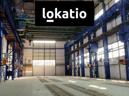 Pronájem komerčního objektu, sklad, 5 000 m²