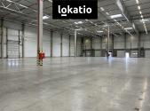 Pronájem komerčního objektu, sklad, 495 m²
