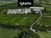 Pronájem komerčního objektu, sklad, 43 000 m²