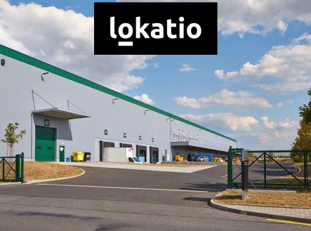 Pronájem komerčního objektu, sklad, 7 146 m²