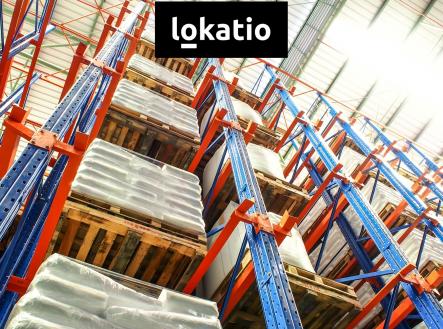 Pronájem komerčního objektu, sklad, 1 000 m²