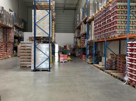 Pronájem komerčního objektu, sklad, 550 m²