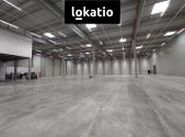 Pronájem komerčního objektu, sklad, 3 858 m²