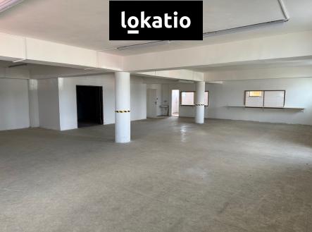 Pronájem komerčního objektu, sklad, 3 000 m²