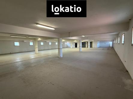 Pronájem komerčního objektu, sklad, 3 000 m²
