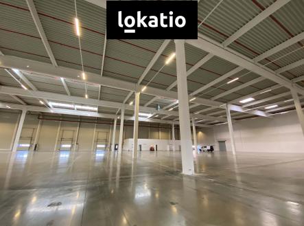Pronájem komerčního objektu, sklad, 11 400 m²