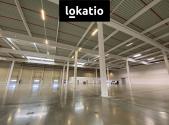 Pronájem komerčního objektu, sklad, 11 400 m²