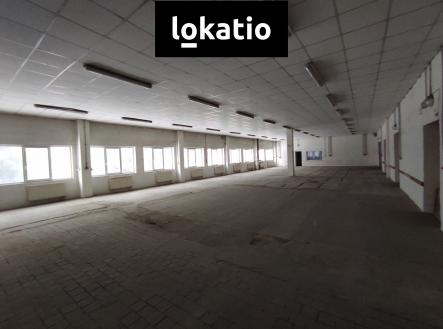Pronájem komerčního objektu, sklad, 1 244 m²