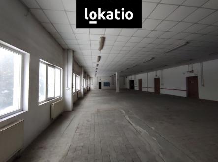 Pronájem komerčního objektu, sklad, 1 244 m²