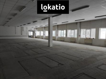 Pronájem komerčního objektu, sklad, 1 244 m²