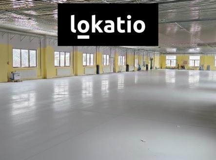 Pronájem komerčního objektu, sklad, 810 m²