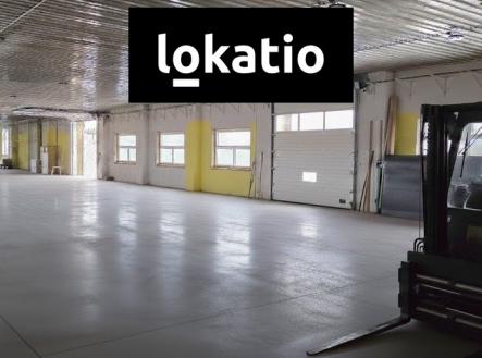 Pronájem komerčního objektu, sklad, 810 m²