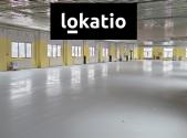 Pronájem komerčního objektu, sklad, 810 m²