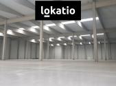 Pronájem komerčního objektu, sklad, 2 000 m²