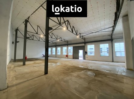 Pronájem komerčního objektu, sklad, 250 m²