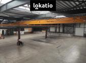 Pronájem komerčního objektu, sklad, 4 135 m²