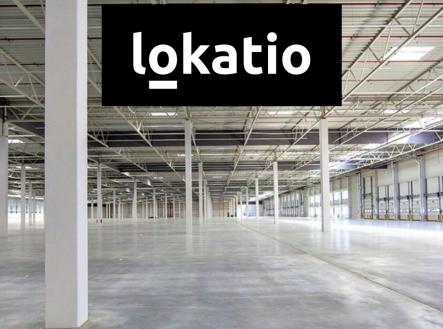 Pronájem komerčního objektu, sklad, 11 155 m²
