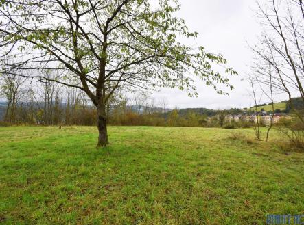 Prodej - pozemek, trvalý travní porost, 3 966 m²