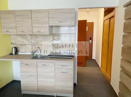 Prodej bytu, 1+kk, 30 m²