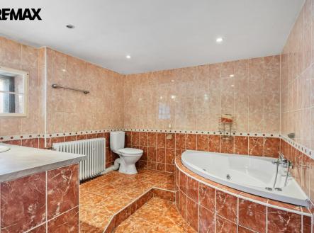 Prodej hotel, 428 m²