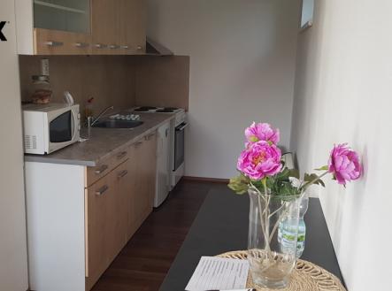 Pronájem bytu, 1+kk, 48 m²