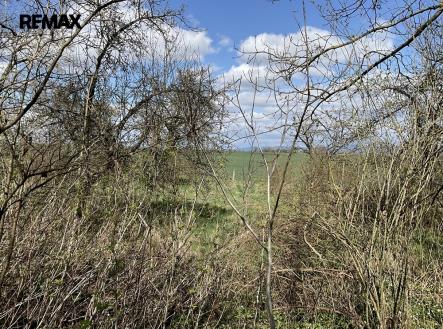 Prodej pozemku pro bydlení, 3 131 m²