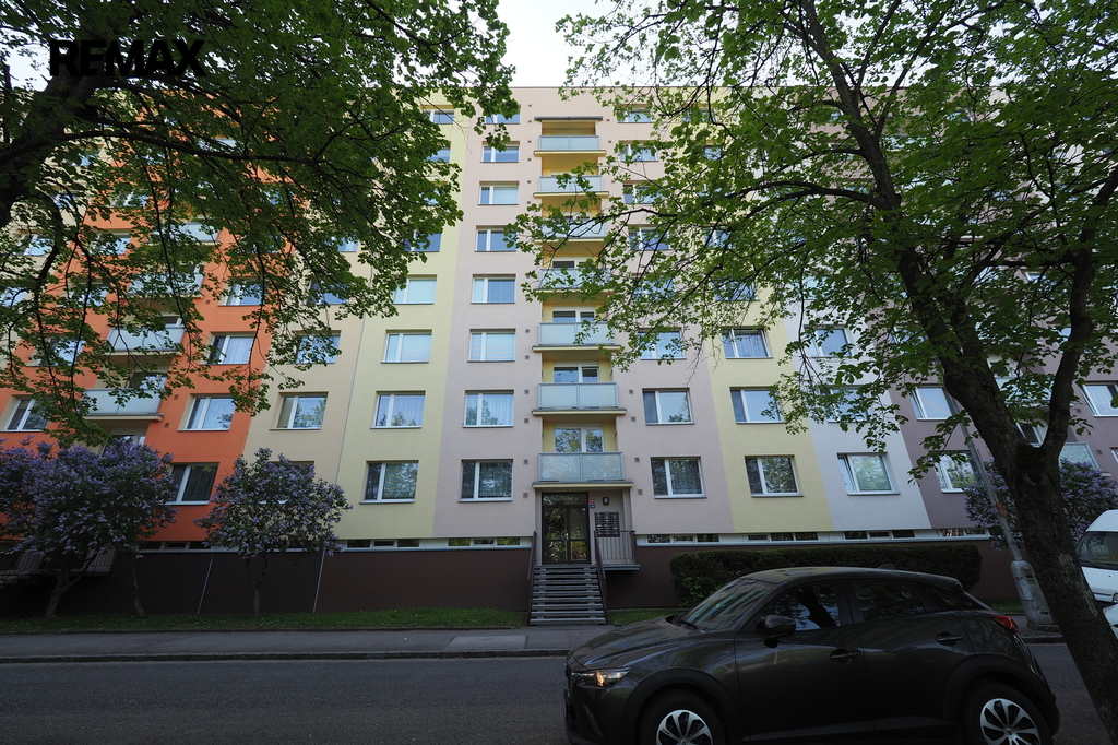 p5052039.jpg