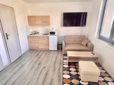 Pronájem bytu, 1+kk, 23 m²