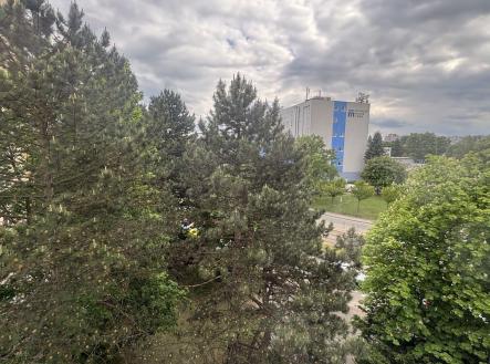 Pronájem bytu, 1+kk, 31 m²