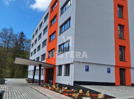 Prodej nájemního domu, 2 725 m²