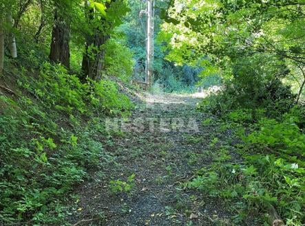 Prodej pozemku pro bydlení, 5 321 m²