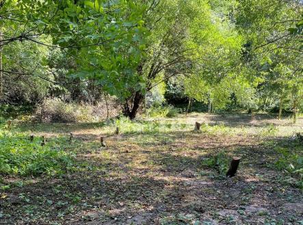 Prodej pozemku pro bydlení, 5 321 m²