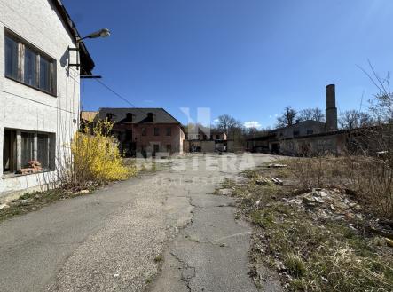Prodej pozemku pro komerční výstavbu, 10 000 m²