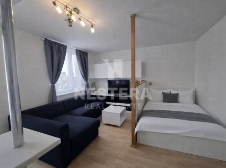 Pronájem bytu, 1+kk, 41 m² obrázek