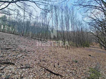 Prodej pozemku, trvalý travní porost, 10 301 m²